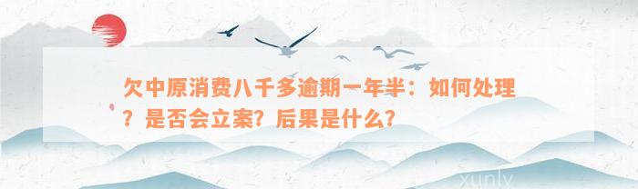 欠中原消费八千多逾期一年半：如何处理？是否会立案？后果是什么？