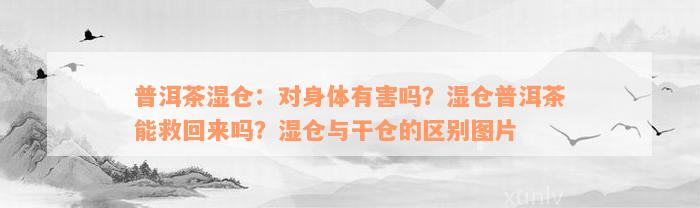 普洱茶湿仓：对身体有害吗？湿仓普洱茶能救回来吗？湿仓与干仓的区别图片