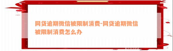 网贷逾期微信被限制消费-网贷逾期微信被限制消费怎么办