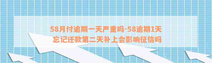 58月付逾期一天严重吗-58逾期1天 忘记还款第二天补上会影响征信吗