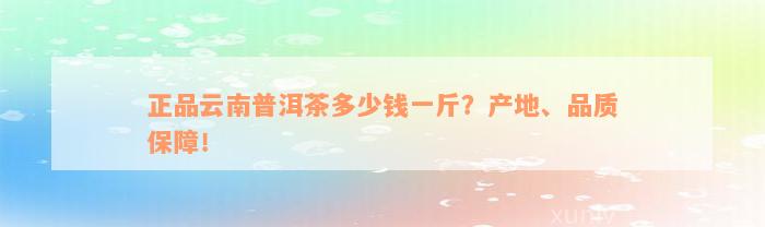 正品云南普洱茶多少钱一斤？产地、品质保障！