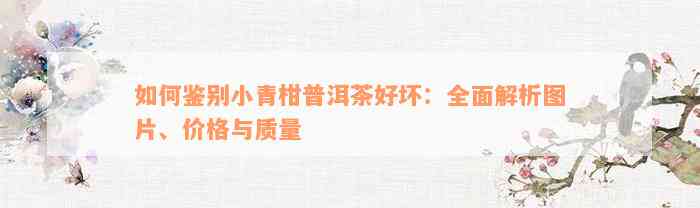 如何鉴别小青柑普洱茶好坏：全面解析图片、价格与质量