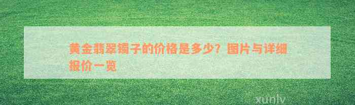 黄金翡翠镯子的价格是多少？图片与详细报价一览