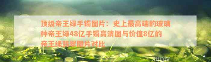 顶级帝王绿手镯图片：史上最高端的玻璃种帝王绿48亿手镯高清图与价值8亿的帝王绿翡翠图片对比