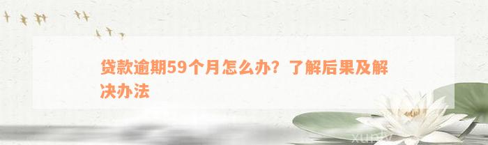 贷款逾期59个月怎么办？了解后果及解决办法