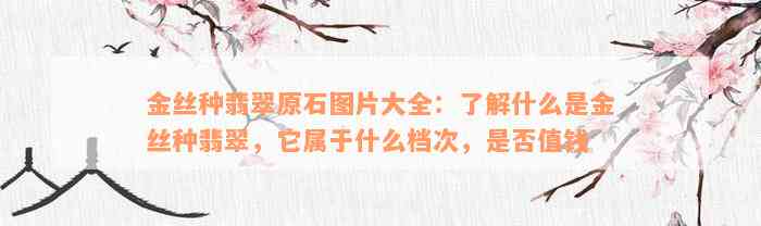 金丝种翡翠原石图片大全：了解什么是金丝种翡翠，它属于什么档次，是否值钱