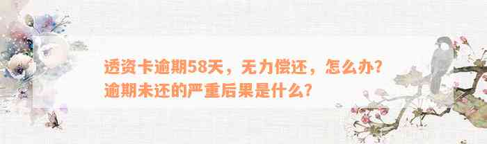 透资卡逾期58天，无力偿还，怎么办？逾期未还的严重后果是什么？