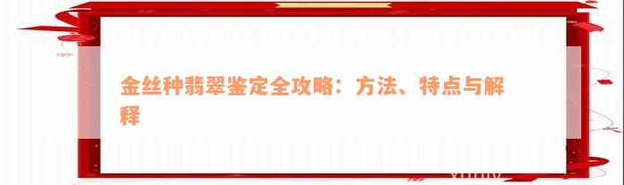 金丝种翡翠鉴定全攻略：方法、特点与解释