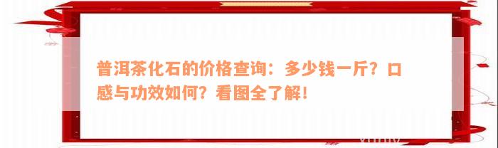 普洱茶化石的价格查询：多少钱一斤？口感与功效如何？看图全了解！