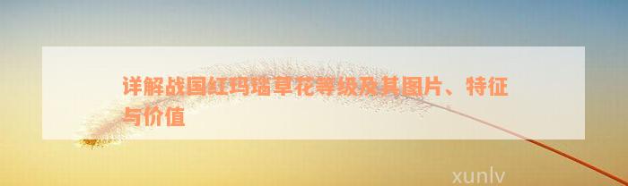 详解战国红玛瑙草花等级及其图片、特征与价值