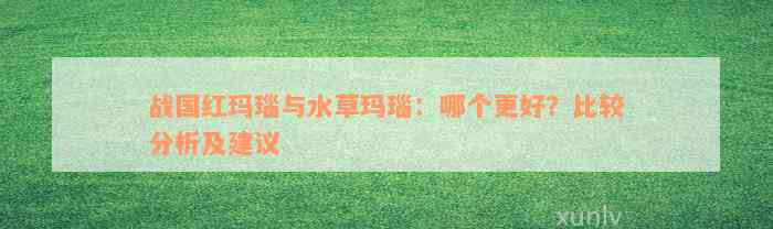 战国红玛瑙与水草玛瑙：哪个更好？比较分析及建议