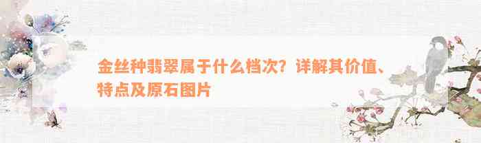 金丝种翡翠属于什么档次？详解其价值、特点及原石图片