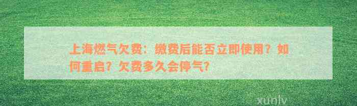 上海燃气欠费：缴费后能否立即使用？如何重启？欠费多久会停气？