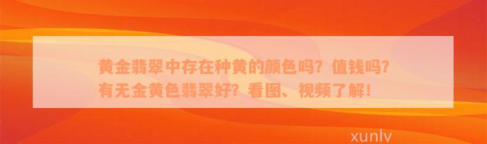 黄金翡翠中存在种黄的颜色吗？值钱吗？有无金黄色翡翠好？看图、视频了解！