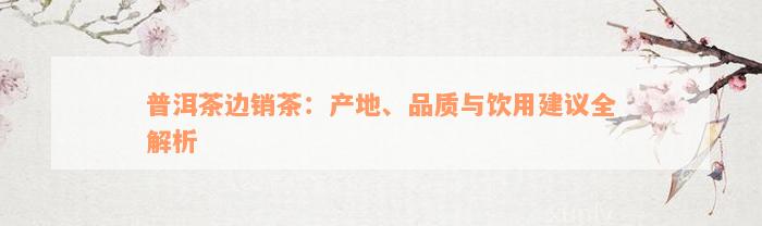 普洱茶边销茶：产地、品质与饮用建议全解析