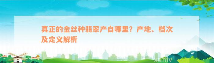 真正的金丝种翡翠产自哪里？产地、档次及定义解析