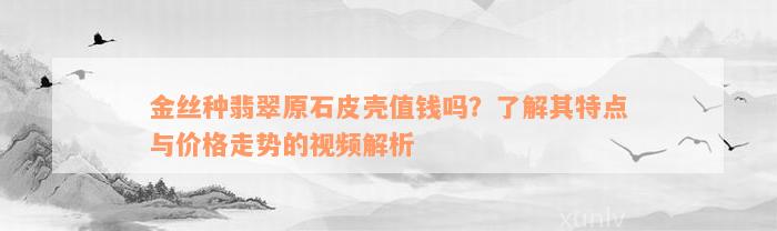 金丝种翡翠原石皮壳值钱吗？了解其特点与价格走势的视频解析