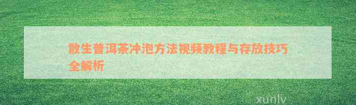 散生普洱茶冲泡方法视频教程与存放技巧全解析