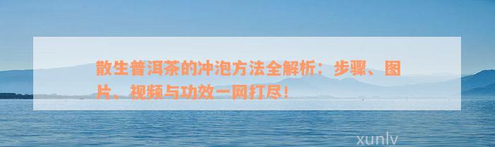 散生普洱茶的冲泡方法全解析：步骤、图片、视频与功效一网打尽！