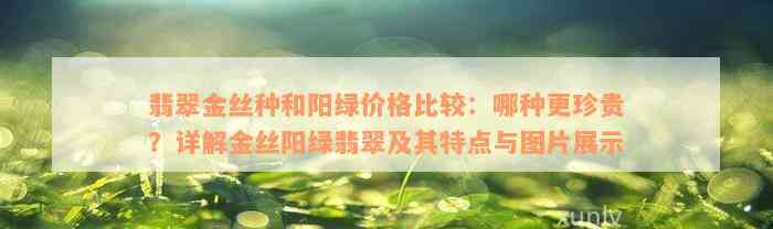 翡翠金丝种和阳绿价格比较：哪种更珍贵？详解金丝阳绿翡翠及其特点与图片展示