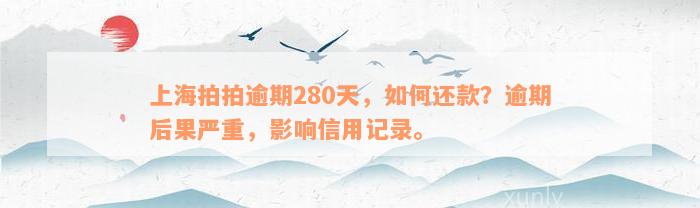 上海拍拍逾期280天，如何还款？逾期后果严重，影响信用记录。