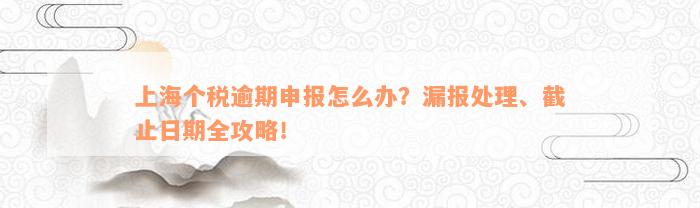 上海个税逾期申报怎么办？漏报处理、截止日期全攻略！