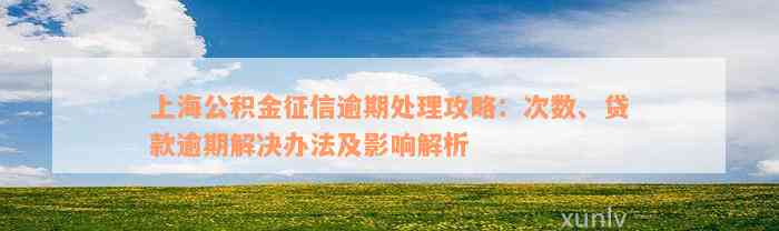 上海公积金征信逾期处理攻略：次数、贷款逾期解决办法及影响解析