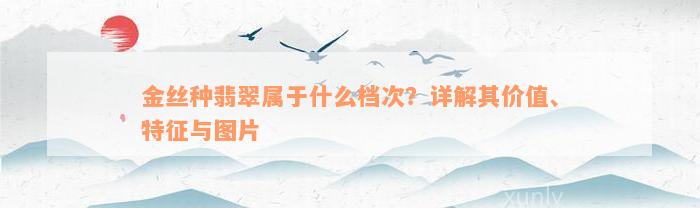 金丝种翡翠属于什么档次？详解其价值、特征与图片