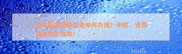 农村医保逾期交费如何办理？手续、退费及退款全攻略！