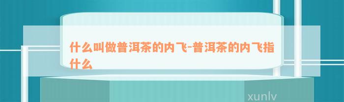 什么叫做普洱茶的内飞-普洱茶的内飞指什么