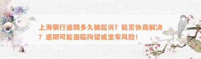 上海银行逾期多久被起诉？能否协商解决？逾期可能面临拘留或坐牢风险！