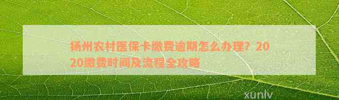 扬州农村医保卡缴费逾期怎么办理？2020缴费时间及流程全攻略