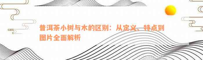 普洱茶小树与木的区别：从定义、特点到图片全面解析