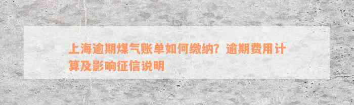 上海逾期煤气账单如何缴纳？逾期费用计算及影响征信说明