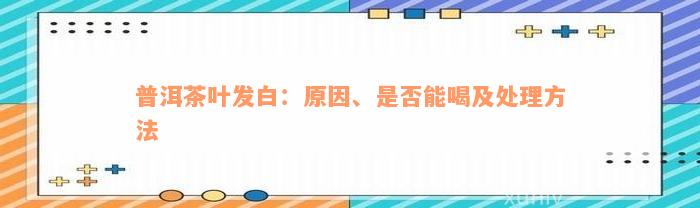 普洱茶叶发白：原因、是否能喝及处理方法