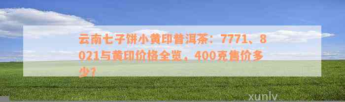 云南七子饼小黄印普洱茶：7771、8021与黄印价格全览，400克售价多少？