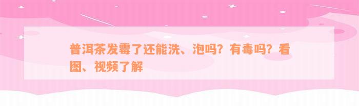 普洱茶发霉了还能洗、泡吗？有毒吗？看图、视频了解