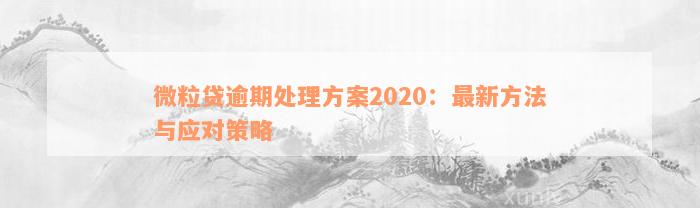 微粒贷逾期处理方案2020：最新方法与应对策略