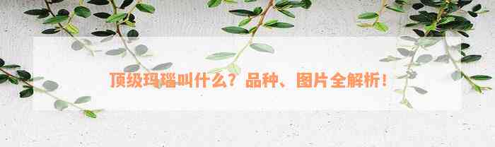 顶级玛瑙叫什么？品种、图片全解析！