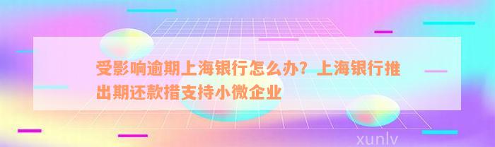 受影响逾期上海银行怎么办？上海银行推出期还款措支持小微企业