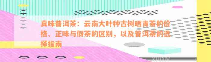 真味普洱茶：云南大叶种古树晒青茶的价格、正味与假茶的区别，以及普洱茶的选择指南