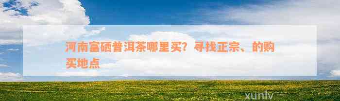 河南富硒普洱茶哪里买？寻找正宗、的购买地点