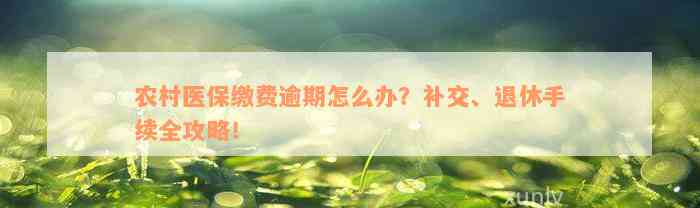 农村医保缴费逾期怎么办？补交、退休手续全攻略！