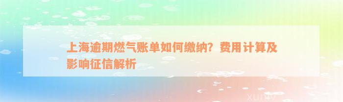 上海逾期燃气账单如何缴纳？费用计算及影响征信解析