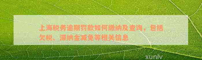 上海税务逾期罚款如何缴纳及查询，包括欠税、滞纳金减免等相关信息