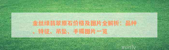 金丝绿翡翠原石价格及图片全解析：品种、特征、吊坠、手镯图片一览