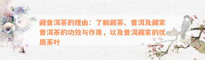 藏普洱茶的理由：了解藏茶、普洱及藏家普洱茶的功效与作用，以及普洱藏家的优质茶叶