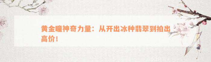 黄金瞳神奇力量：从开出冰种翡翠到拍出高价！