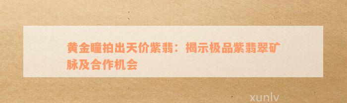 黄金瞳拍出天价紫翡：揭示极品紫翡翠矿脉及合作机会