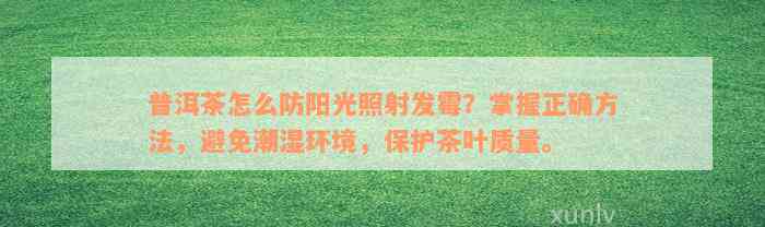 普洱茶怎么防阳光照射发霉？掌握正确方法，避免潮湿环境，保护茶叶质量。